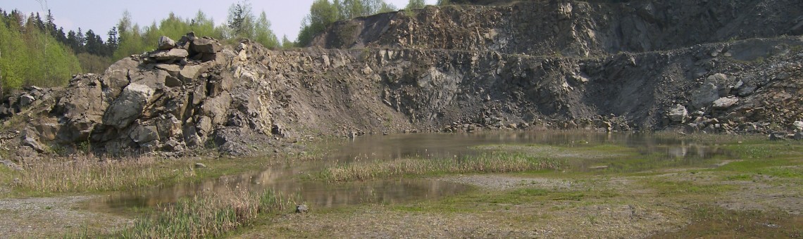 Kosovský lom, Kosov [JI] - 5.5.2006, foto Vojtěch Kodet