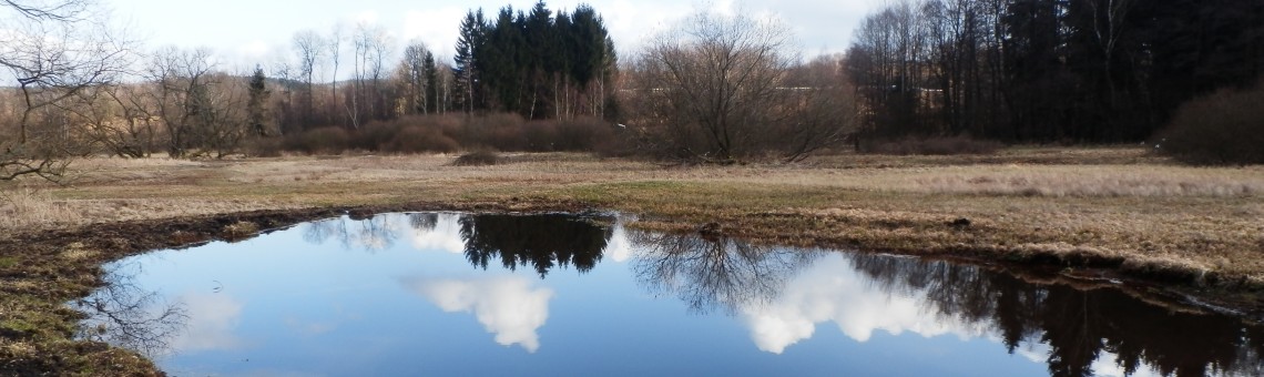 PR Nad Svitákem, Milíčov u Jihlavy [JI] - 6.3.2015, foto Vojtěch Kodet