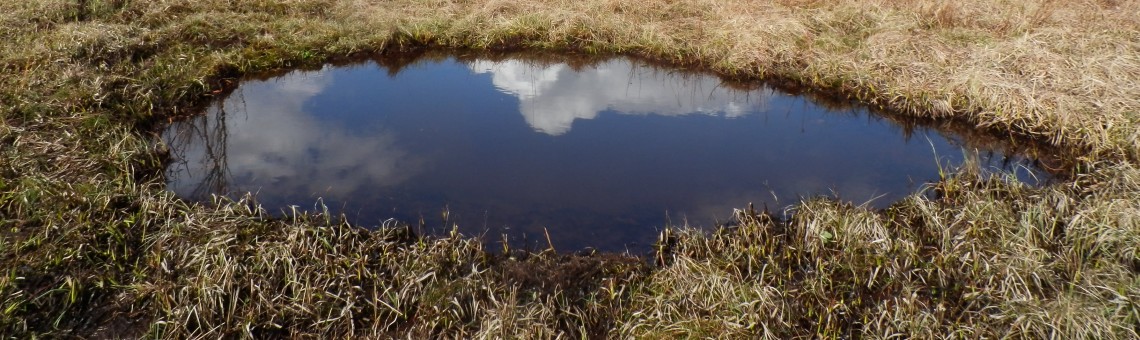 PR Doupský a Bažantka, Doupě [JI] - 4.4.2015, foto Vojtěch Kodet