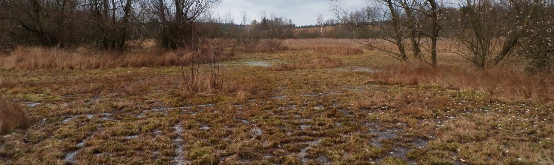 PR Doupský a Bažantka, Doupě [JI] - 25.11.2013, foto Vojtěch Kodet