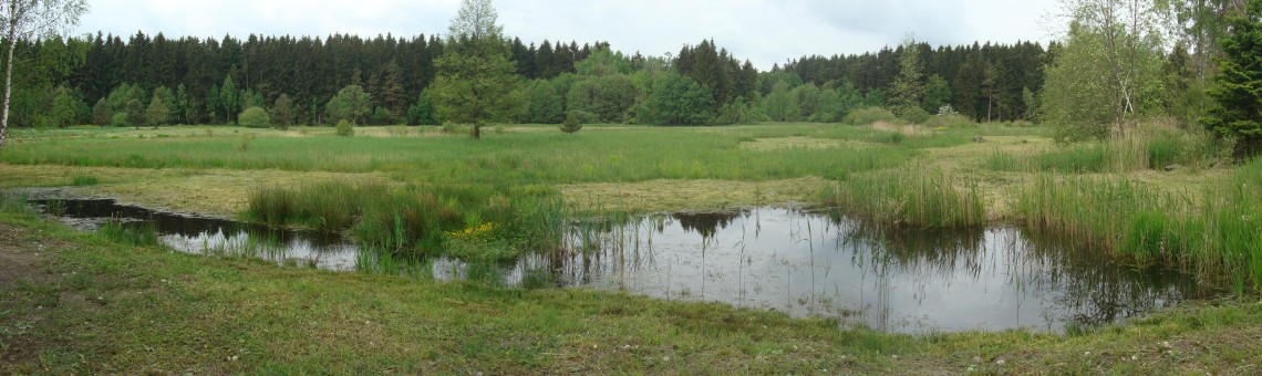 PR Chvojnov, Milíčov u Jihlavy [JI] - foto Ester Ekrtová