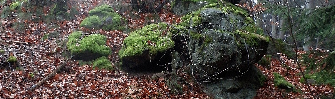 RBC Orlík, Čejov [PE] - 17.11.2014, foto Vojtěch Kodet