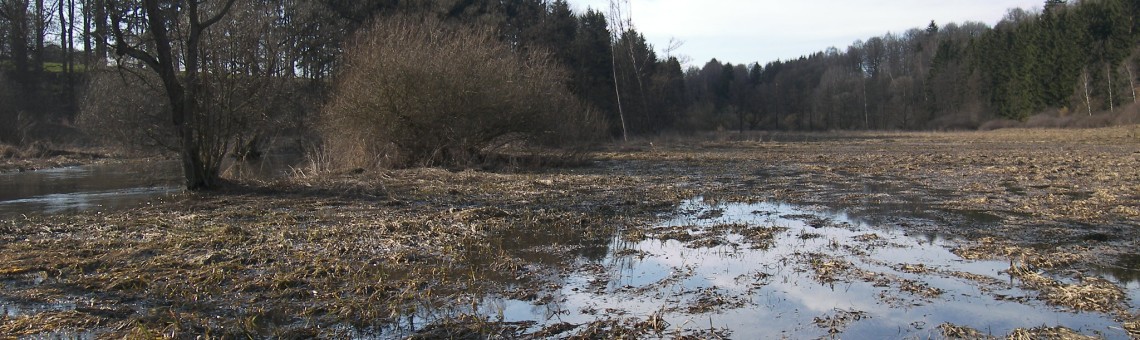 Starohorský mokřad, Staré Hory [JI] - 27.3.2010, foto Vojtěch Kodet
