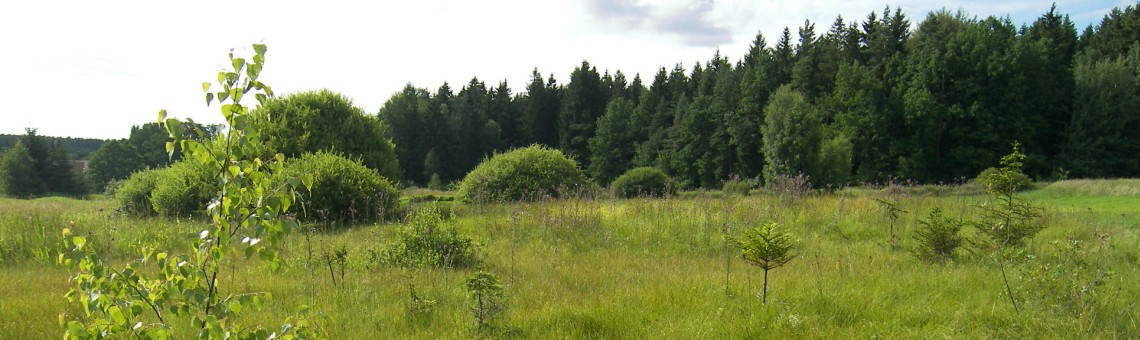 U Šeredů, Zbilidy [JI] - foto Vojtěch Kodet
