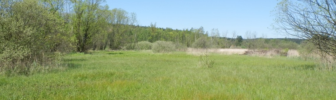 PR Doupský a Bažantka, Doupě [JI] - foto Vojtěch Kodet