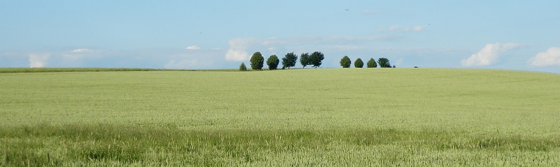 okolí Jezdovic [JI] - 1.7.2013, foto Vojtěch Kodet