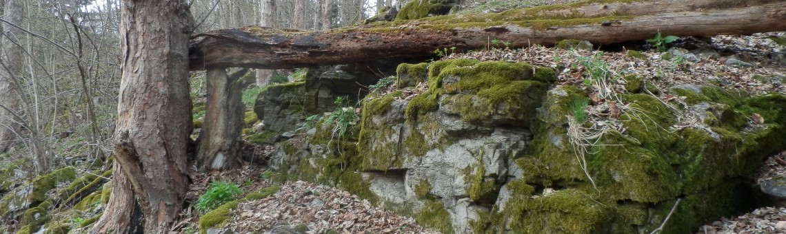 PP Peperek, Račín u Polničky [ZR] - 16.4.2015, foto Vojtěch Kodet