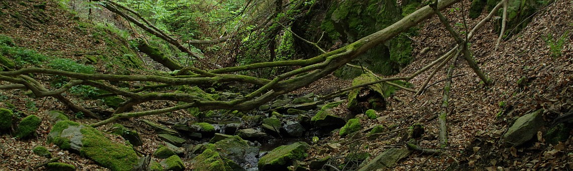 navrhovaná NPR Divoká Oslava [TR] - foto Hana Ševčíková