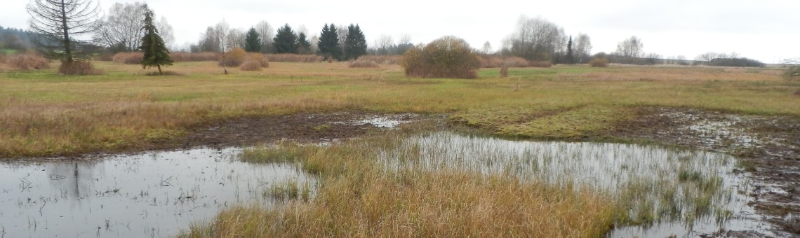 PR Na Oklice, Milíčov u Jihlavy [JI] - 9.11.2014, foto Vojtěch Kodet