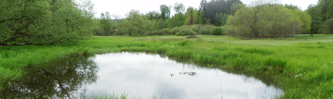 PR Nad Svitákem, Milíčov u Jihlavy [JI] - 23.5.2015, foto Vojtěch Kodet