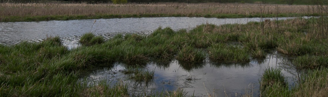 PP Černíč - 17.4.2009, foto Vojtěch Kodet
