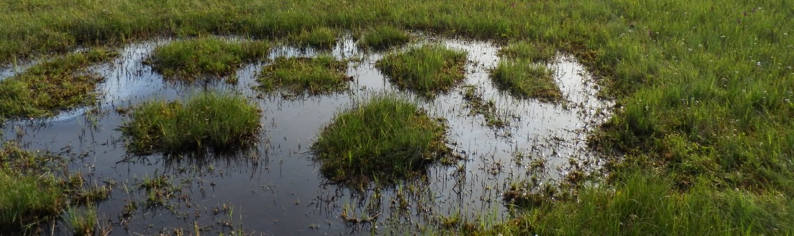 PR Na Oklice, Milíčov u Jihlavy [JI] - 19.5.2014, foto Vojtěch Kodet