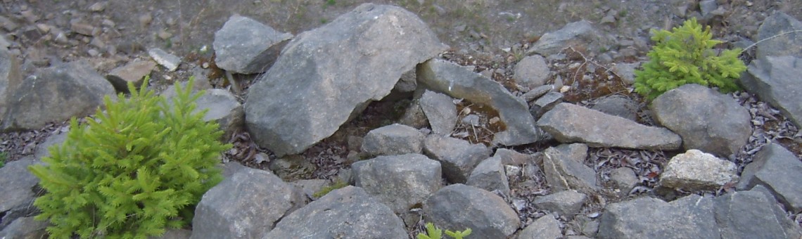 Kosovský lom, Kosov [JI] - 16.4.2005, foto Vojtěch Kodet