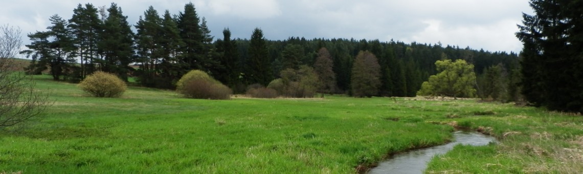 U Šeredů, Zbilidy [JI] - 4.5.2013, foto Vojtěch Kodet