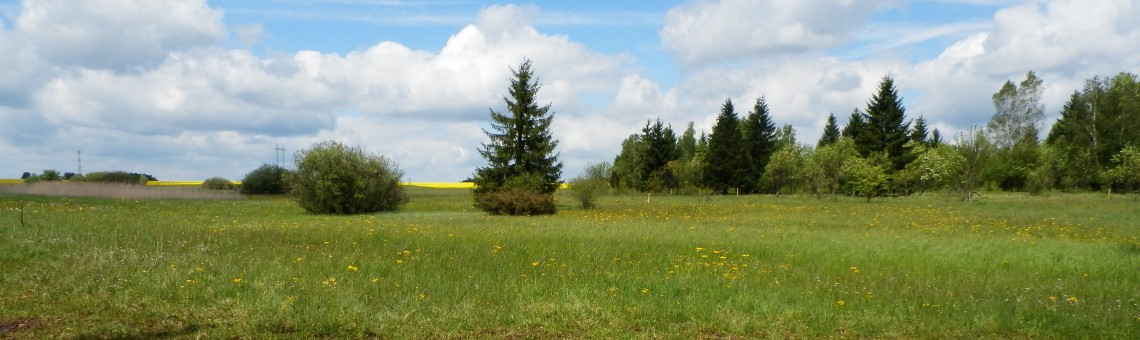 PR Na Oklice, Milíčov u Jihlavy [JI] - 28.5.2013, foto Vojtěch Kodet