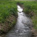 Frejlach, 15.5.2010, foto Vojtěch Kodet