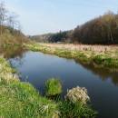 Starohorský mokřad, 19.4.2014, foto Vojtěch Kodet