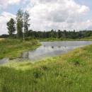 Termesivské rybníky, 21.7.2009, foto Vojtěch Kodet