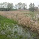 Nový rybník u Panské Lhoty, 16.4.2016, foto Vojtěch Kodet