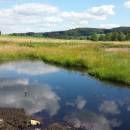 Mokřady Nad Chvojnovem [JI]