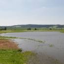 Znětínecký rybník, 5.7.2006, foto Vojtěch Kodet