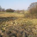 Na Betháni, 31.3.2008, foto Vojtěch Kodet