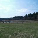 Černý rybník, 25.4.2006, foto Vojtěch Kodet