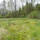 Rašeliniště Pod Trojanem, 15.5.2015, foto Vojtěch Kodet