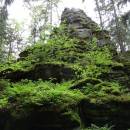PP Na Skalce, 31.5.2016, foto Vojtěch Kodet