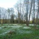 PR Rašeliniště Loučky, 11.5.2015, foto Vojtěch Kodet