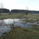 PR Chvojnov, 3.12.2015, foto Vojtěch Kodet