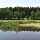 Mokřady Nad Chvojnovem [JI]