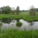 Jankovský potok - Polánky [JI]