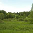 Dolnohuťský mokřad, 27.5.2006, foto Vojtěch Kodet