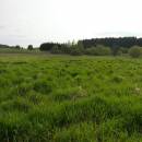 Frejlach, 8.5.2009, foto Vojtěch Kodet