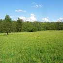 PP Zlatá louka, 1.6.2015, foto Vojtěch Kodet