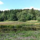 Mokřady Nad Chvojnovem [JI]