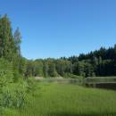 Popický rybník, 22.6.2010, foto Vojtěch Kodet