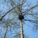 PR Jedlový les a údolí Rokytné, 20.4.2015, foto Vojtěch Kodet