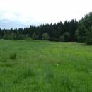 PR Chvojnov - před sečí