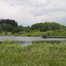 Třeštický rybník, 24.6.2010, foto Vojtěch Kodet