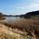 ryb. Drdák, 19.4.2015, foto Vojtěch Kodet