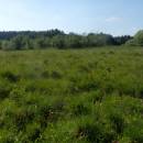 PR Řeka, 4.6.2015, foto Vojtěch Kodet