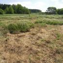 Bělokamenský mokřad, 24.5.2012, foto Vojtěch Kodet