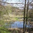 Kunický rybník, 20.4.2016, foto Vojtěch Kodet