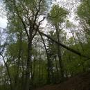 PR Údolí Oslavy a Chvojnice, 25.4.2011, foto Vojtěch Kodet