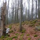 PP Čertův hrádek, 13.3.2015, foto Vojtěch Kodet