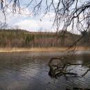 Jezdovický rybník, 10.4.2007, foto Vojtěch Kodet