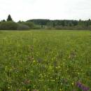 NPR Zhejral, 16.5.2007, foto Vojtěch Kodet
