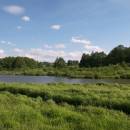 Třeštický rybník, 18.6.2009, foto Vojtěch Kodet